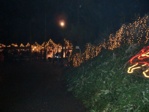 Waldweihnachtsmarkt 054.jpg